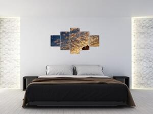 Obraz - palmy pośród chmur (125x70 cm)