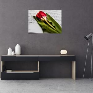 Obraz czerwonego tulipana (70x50 cm)