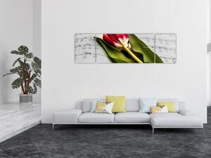 Obraz czerwonego tulipana (170x50 cm)