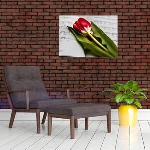 Obraz czerwonego tulipana (70x50 cm)