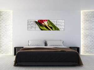Obraz czerwonego tulipana (170x50 cm)