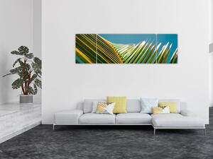 Obraz - Detal liścia palmowego (170x50 cm)