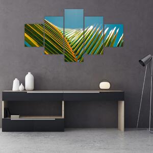 Obraz - Detal liścia palmowego (125x70 cm)