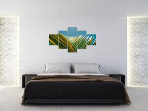 Obraz - Detal liścia palmowego (125x70 cm)