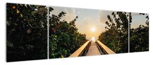 Obraz - droga do słońca (170x50 cm)