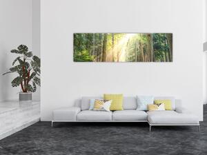 Obraz ścieżki w lesie (170x50 cm)