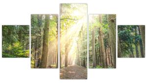 Obraz ścieżki w lesie (125x70 cm)