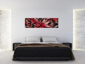 Obraz czerwonych płatków (170x50 cm)