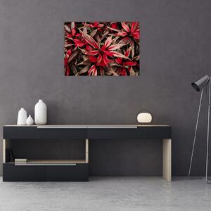 Obraz czerwonych płatków (70x50 cm)