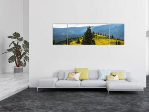Obraz - Górska łąka (170x50 cm)