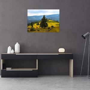 Obraz - Górska łąka (70x50 cm)