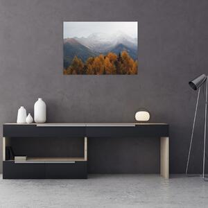 Obraz - Widok na grzbiety górskie (70x50 cm)