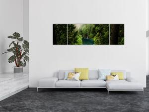 Obraz - Przestrzeń między drzewami (170x50 cm)