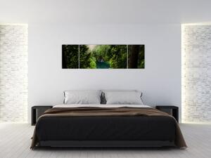 Obraz - Przestrzeń między drzewami (170x50 cm)