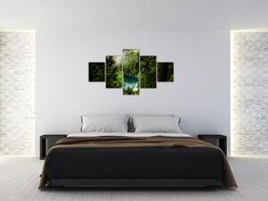 Obraz - Przestrzeń między drzewami (125x70 cm)
