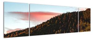 Obraz rudzików nad wzgórzem (170x50 cm)