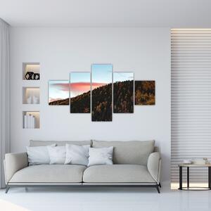 Obraz rudzików nad wzgórzem (125x70 cm)