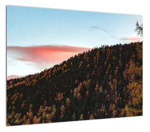 Obraz rudzików nad wzgórzem (70x50 cm)