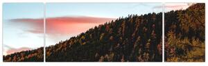 Obraz rudzików nad wzgórzem (170x50 cm)