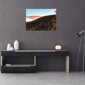 Obraz rudzików nad wzgórzem (70x50 cm)