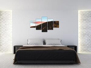 Obraz rudzików nad wzgórzem (125x70 cm)