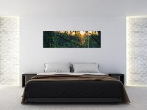 Obraz słońca przeświecającego przez gałęzie drzew (170x50 cm)