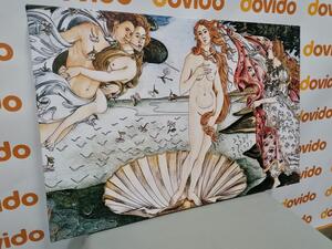 Obraz reprodukcja Narodziny Wenus - Sandro Botticelli