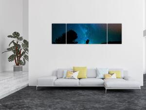 Obraz - Spotkanie pod gwiazdami (170x50 cm)