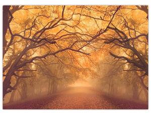 Obraz drogi w jesiennym krajobrazie (70x50 cm)
