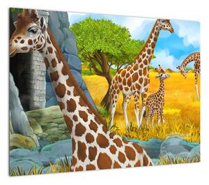 Obraz - Rodzina żyraf (70x50 cm)