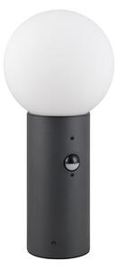 Lampa zewnętrzna typu słupek z czujnikiem ruchu ø 18 cm Mures – Trio