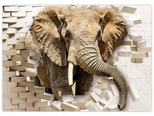Obraz - słoń taranujący ścianę (70x50 cm)