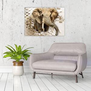 Obraz - słoń taranujący ścianę (70x50 cm)