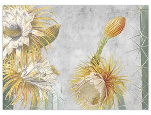 Obraz - Kwitnące kaktusy (70x50 cm)