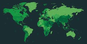 Samoprzylepna tapeta szczegółowa mapa świata na zielono