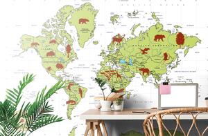 Samoprzylepna tapeta mapa ze zwierzętami