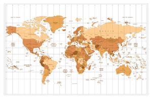 Tapeta beżowa mapa świata na jasnym tle