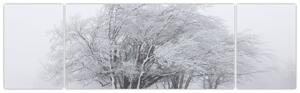 Obraz - Biała zima (170x50 cm)