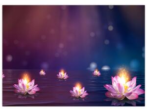 Obraz - Magiczne lilie wodne (70x50 cm)