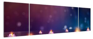 Obraz - Magiczne lilie wodne (170x50 cm)