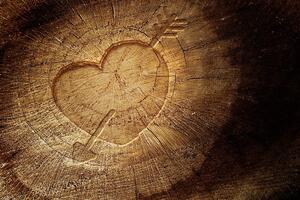 Fototapeta rzeźbione serce na pniu drzewa