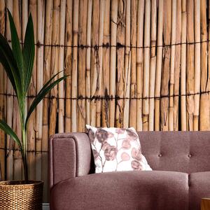 Fototapeta egzotyczny bambus