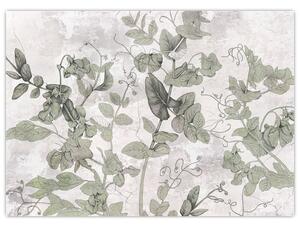 Obraz - Rośliny w gipsie (70x50 cm)