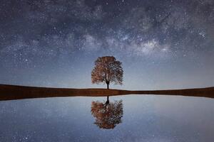 Fototapeta gwiaździste niebo nad samotnym drzewem