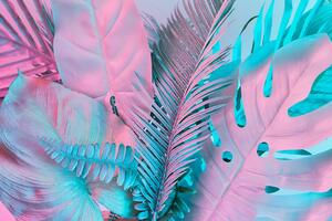 Samoprzylepna tapeta liście palmowe w nietypowych kolorach