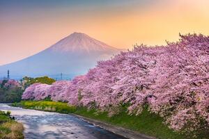 Fototapeta piękna Japonia