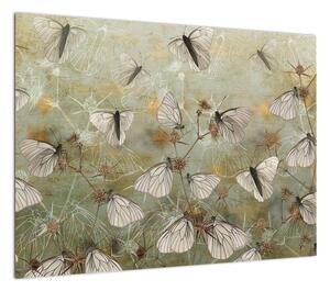 Obraz - Vintage motyle (70x50 cm)