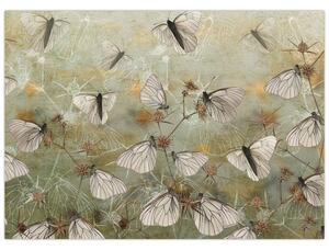Obraz - Vintage motyle (70x50 cm)