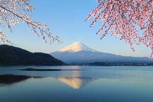 Fototapeta widok z jeziora na Fuji