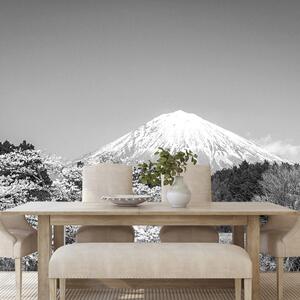 Samoprzylepna fototapeta góra Fuji w czerni i bieli